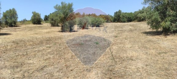 1 Schlafzimmer Haus in Santarem, Portugal, Nr. 30213 6