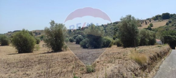 1 Schlafzimmer Haus in Santarem, Portugal, Nr. 30213 2