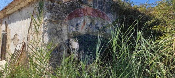 1 Schlafzimmer Haus in Santarem, Portugal, Nr. 30213 7