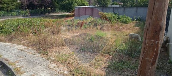 Grundstück in Cabanelas, Portugal 233m², Nr. 35703 2