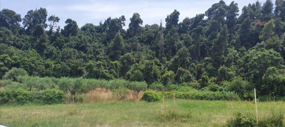 1858m² Hotel in Chalkidiki, Greece No. 4169 5