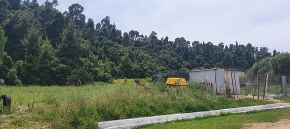 1858m² Hotel in Chalkidiki, Greece No. 4169 4