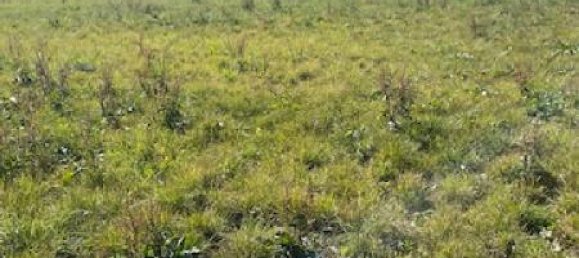  Land in Jallaucourt, France No. 75458 5