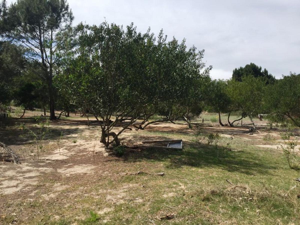  Land in Maldonado, Uruguay No. 14481