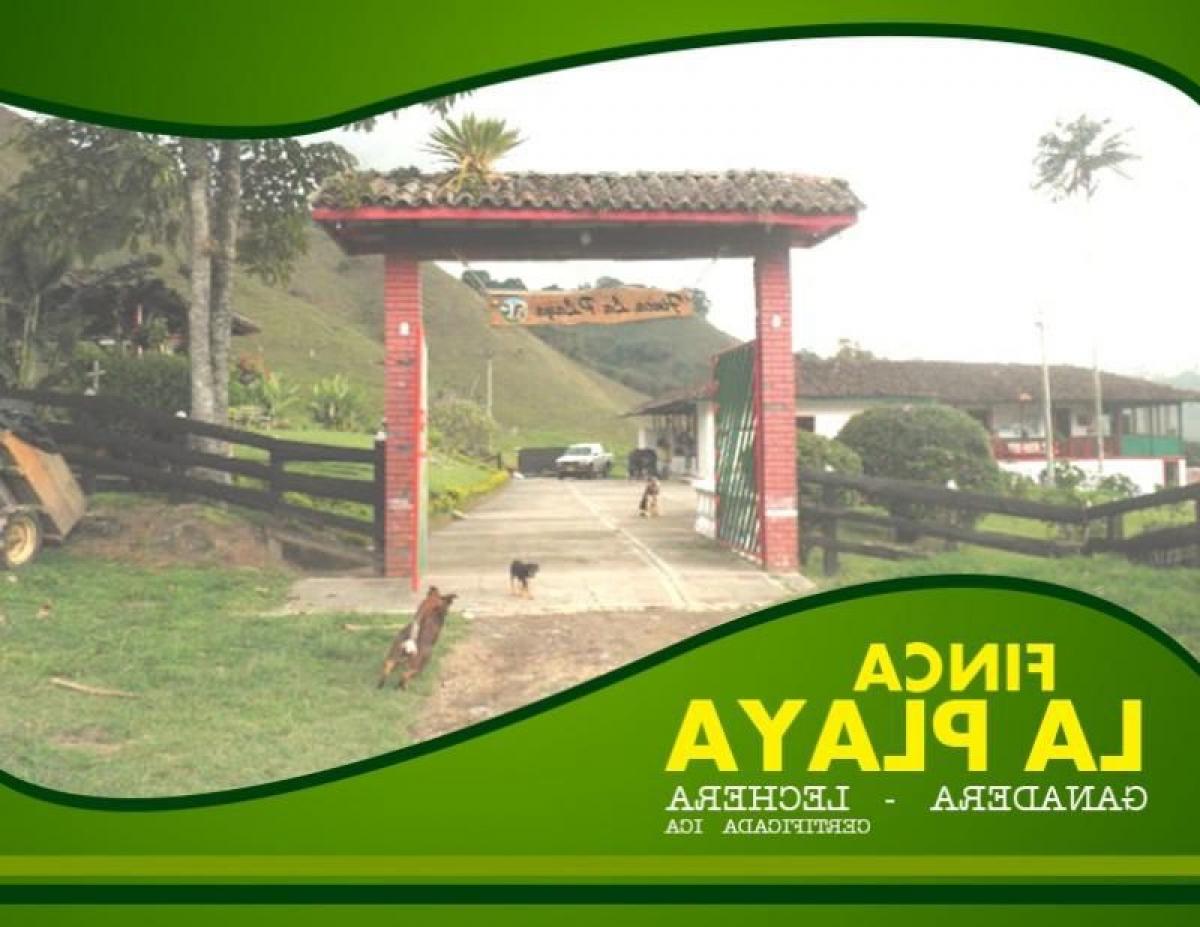 6 bedrooms House in Quindio, Colombia No. 4578