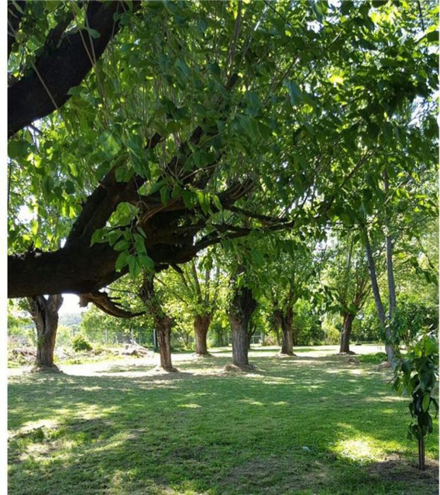 Studio in Moreno, Argentina No. 51765