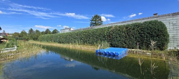 Таунхаус с 3 комнатами в Бокфлис, Австрия № 233799 2