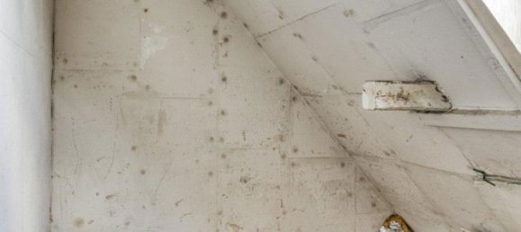 5-Zimmer Stadthaus in Rhein-Sieg, Germany, Nr. 292670 13