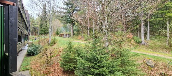 Apartamento de 4 divisões em Schwarzwald-Baar-Kreis, Germany N.º 37878 14