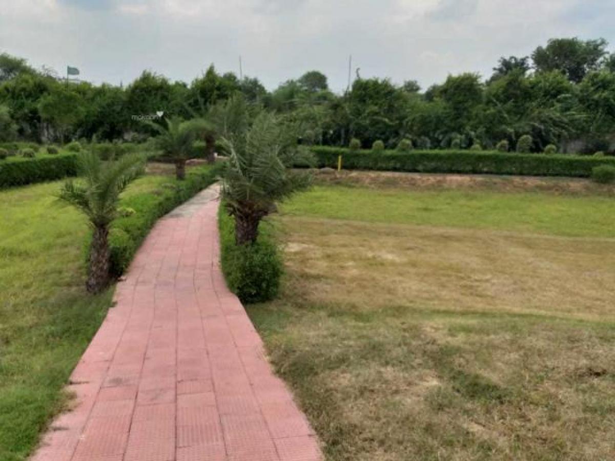 Grundstück in Noida, India, Nr. 34511