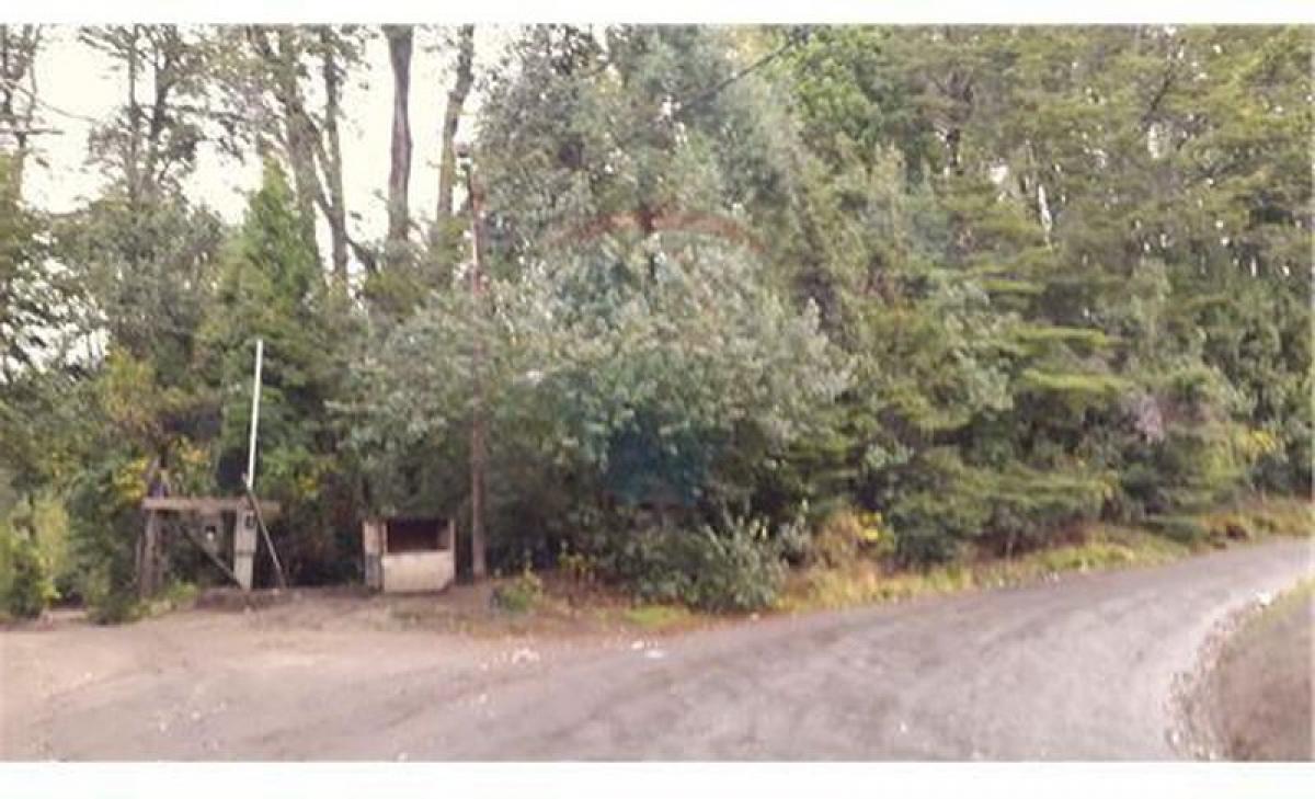 Terrain à Neuquen, Argentina No. 43855