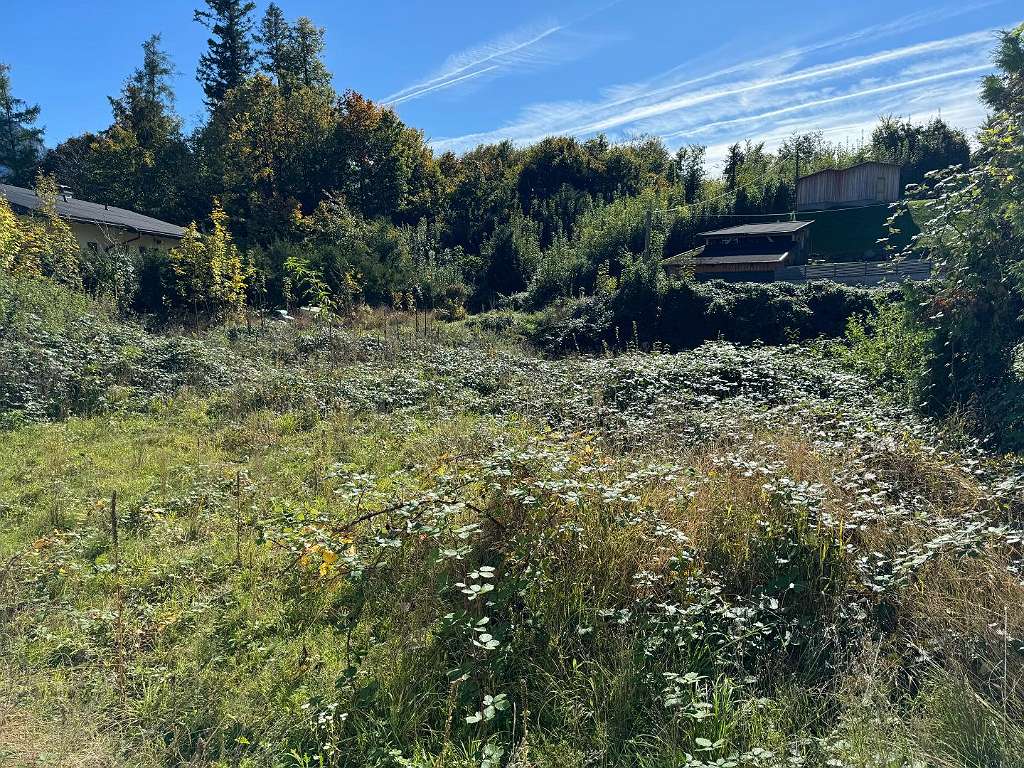  Land in Gmunden, Austria No. 76471