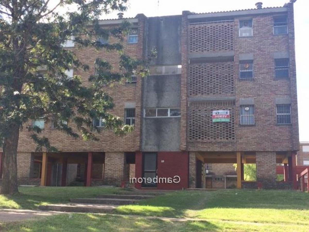 Studio in Montevideo, Uruguay No. 1751