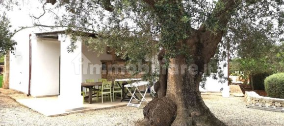 14 bedrooms House in San Vito dei Normanni, Italy No. 340589 5