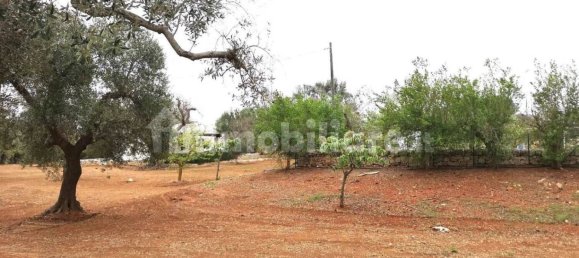 14 bedrooms House in San Vito dei Normanni, Italy No. 340589 11