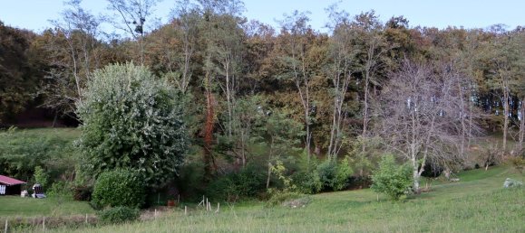 Земельный участок в Саль-де-Беарн, Франция № 287741 3