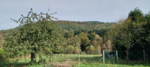 2 bedrooms House in Bitche, France No. 226634 11