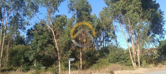 12400m² Land in Vila do Conde, Portugal No. 81485 6