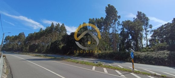 12400m² Land in Vila do Conde, Portugal No. 81485 4
