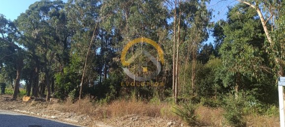 12400m² Land in Vila do Conde, Portugal No. 81485 13