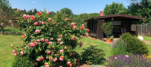 5-salle Maison de ville à Hildesheim, Germany No. 235327 4