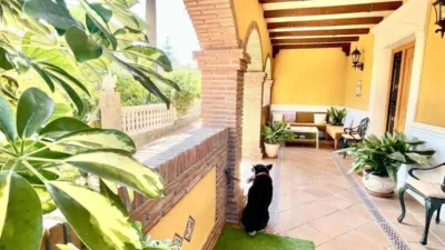 7 Schlafzimmer Villa in Alhaurin de la Torre, Spain, Nr. 140359