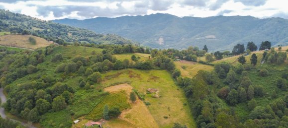 1 bedroom House in Mieres, Spain No. 143655 36