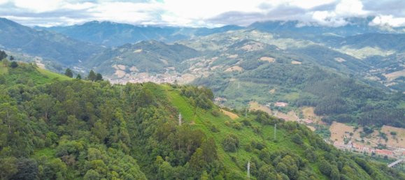 1 bedroom House in Mieres, Spain No. 143655 34