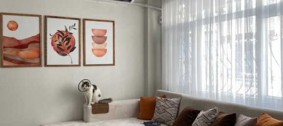 شقة 1+1 في Istanbul, Turkey رقم 31903 2