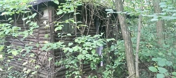 Terrain à Potsdam-Mittelmark, Germany No. 330418 4