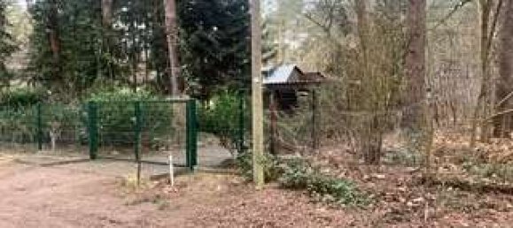 Terrain à Potsdam-Mittelmark, Germany No. 330418 2