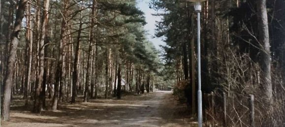 Terrain à Potsdam-Mittelmark, Germany No. 330418 5