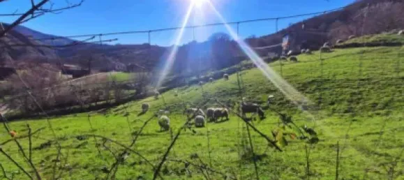 Casa de 3 dormitorios en Cantabria, Spain No. 142489 64