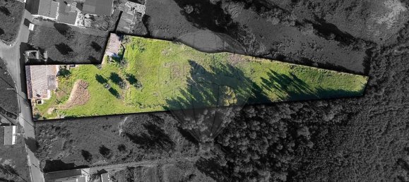 2 bedrooms House in Tomar, Portugal No. 16289 6