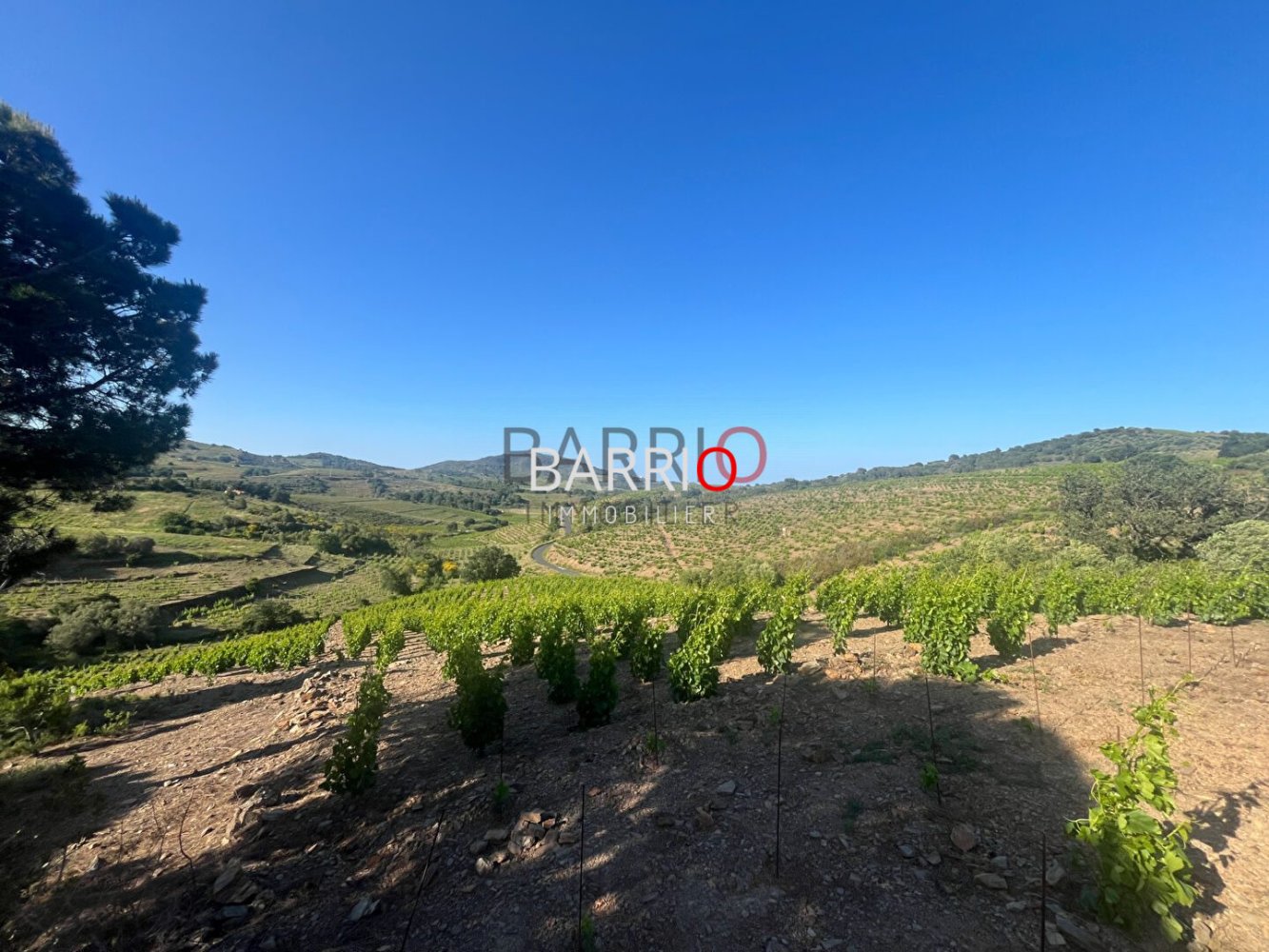 2غرفة شقة في Pyrenees-Orientales, France رقم 278912