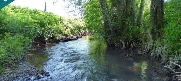 Terreno em Traubach-le-Haut, France N.º 60010 11