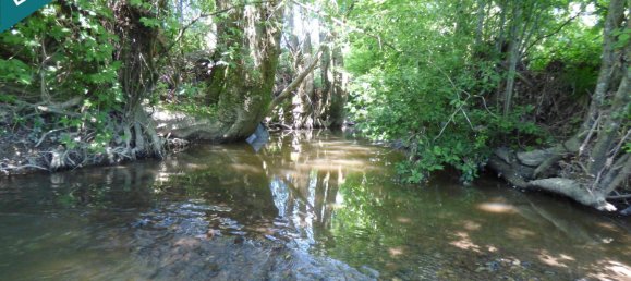 Terreno em Traubach-le-Haut, France N.º 60010 8