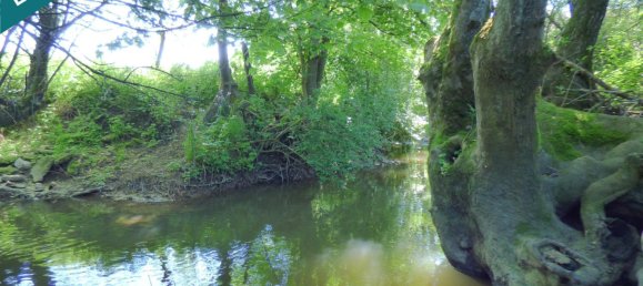 Terreno em Traubach-le-Haut, France N.º 60010 9
