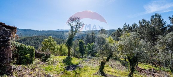 1 Schlafzimmer Haus in Codecoso, Portugal, Nr. 165357 7