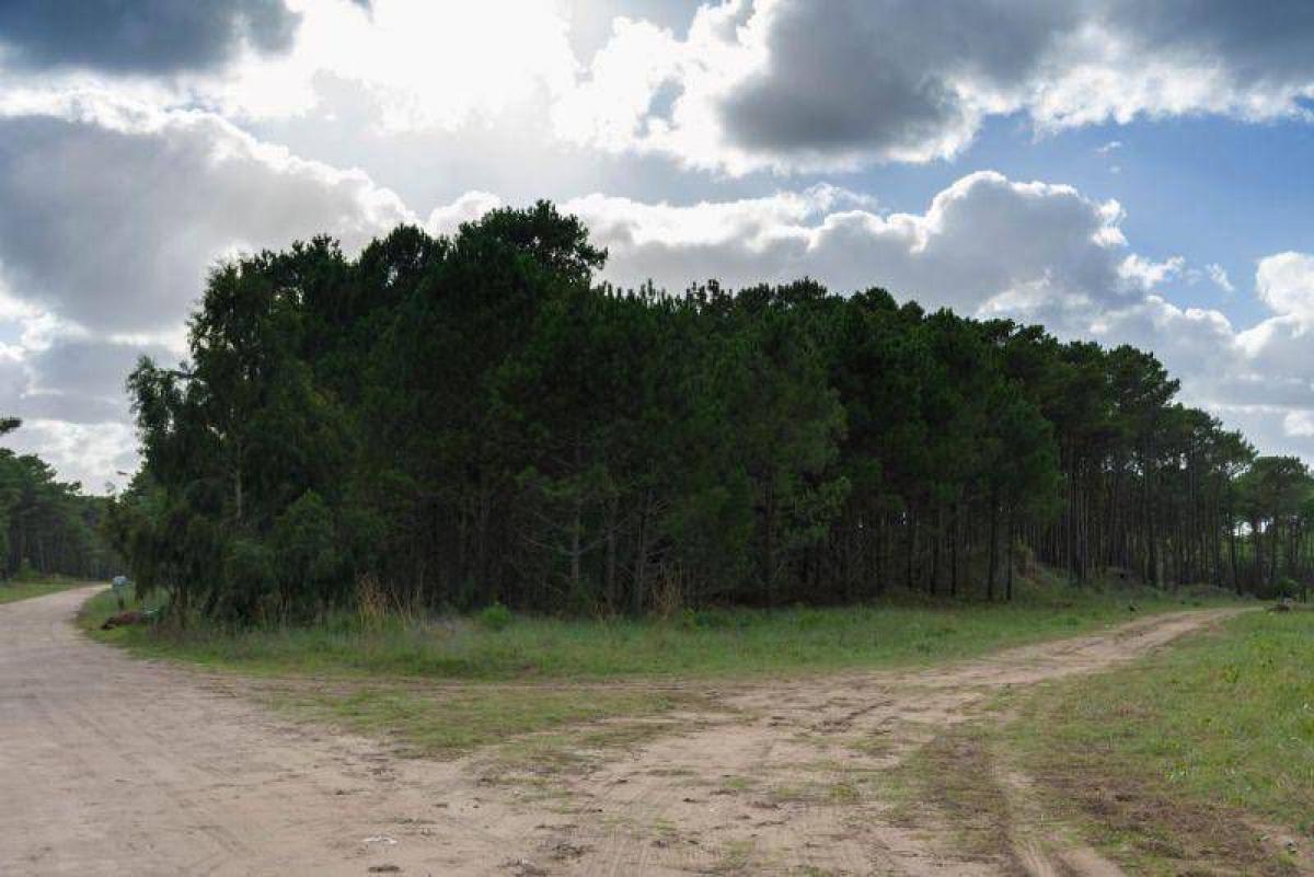 Grundstück in Mar del Plata, Argentina, Nr. 119680