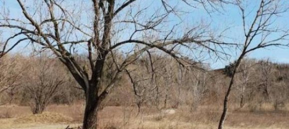 Terrain à Pordenone, Italy 57160m² No. 40153 11