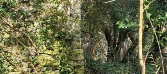 Terrain à Pordenone, Italy 57160m² No. 40153 7