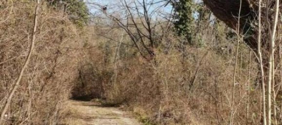 Terrain à Pordenone, Italy 57160m² No. 40153 10