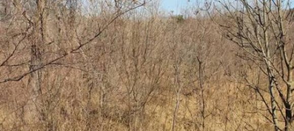 Terrain à Pordenone, Italy 57160m² No. 40153 16