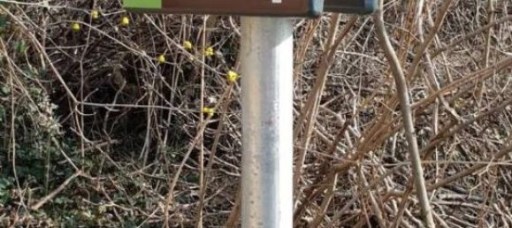 Terrain à Pordenone, Italy 57160m² No. 40153 18