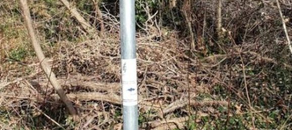 Terrain à Pordenone, Italy 57160m² No. 40153 17