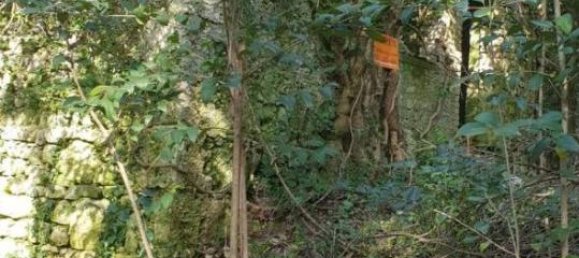 Terrain à Pordenone, Italy 57160m² No. 40153 6