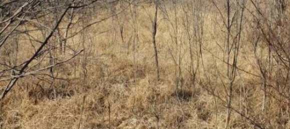 Terrain à Pordenone, Italy 57160m² No. 40153 12