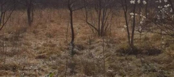 Terrain à Pordenone, Italy 57160m² No. 40153 9