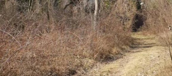 Terrain à Pordenone, Italy 57160m² No. 40153 8